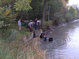 Abfischen 2006
